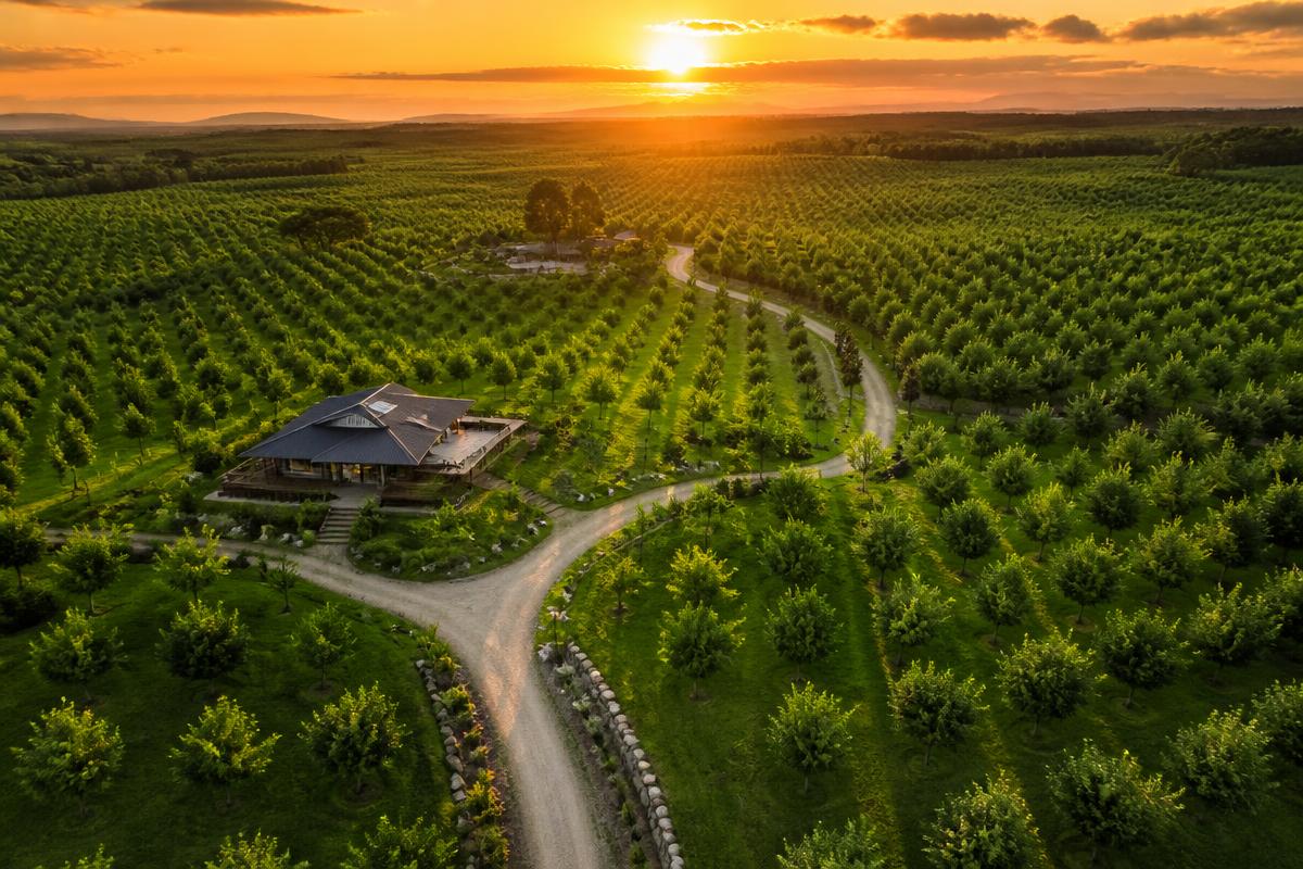 Aerial view of sandalwood farmland estate